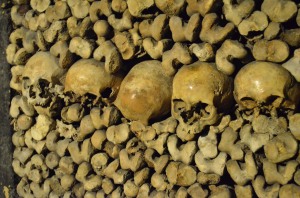 8-skulls lineup catacombs
